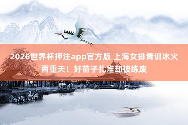 2026世界杯押注app官方版 上海女排青训冰火两重天！好苗子扎堆却被练废