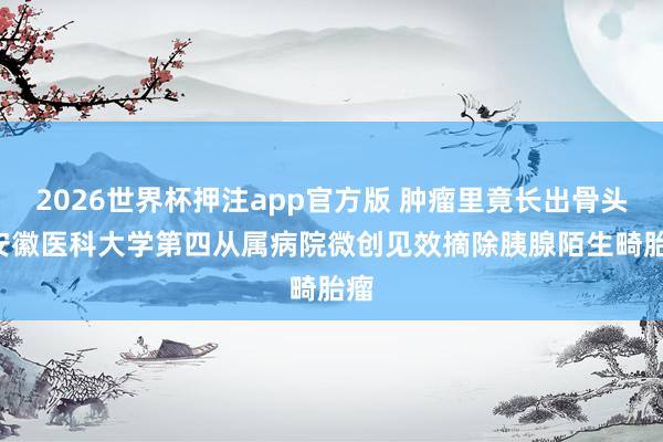 2026世界杯押注app官方版 肿瘤里竟长出骨头! 安徽医科大学第四从属病院微创见效摘除胰腺陌生畸胎瘤