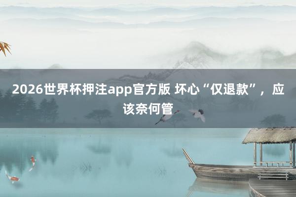 2026世界杯押注app官方版 坏心“仅退款”，应该奈何管