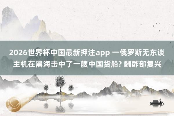 2026世界杯中国最新押注app 一俄罗斯无东谈主机在黑海击中了一艘中国货船? 酬酢部复兴
