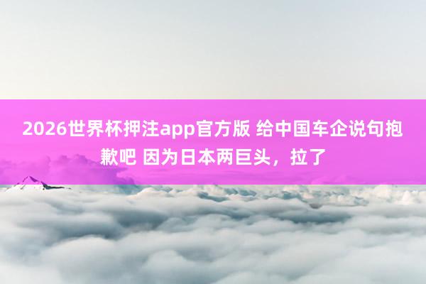 2026世界杯押注app官方版 给中国车企说句抱歉吧 因为日本两巨头，拉了