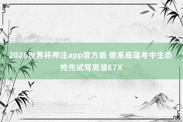 2026世界杯押注app官方版 德系底蕴考中生态 抢先试驾奥迪E7X