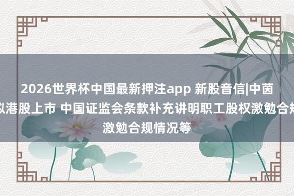 2026世界杯中国最新押注app 新股音信|中茵微电子拟港股上市 中国证监会条款补充讲明职工股权激勉合规情况等