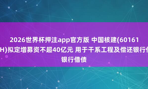 2026世界杯押注app官方版 中国核建(601611.SH)拟定增募资不超40亿元 用于干系工程及偿还银行借债