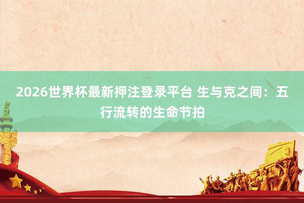 2026世界杯最新押注登录平台 生与克之间：五行流转的生命节拍