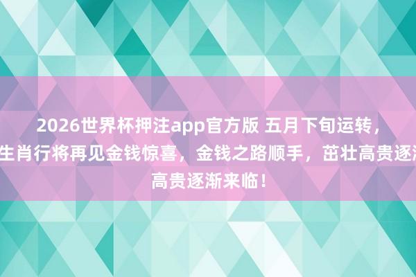 2026世界杯押注app官方版 五月下旬运转，这几个生肖行将再见金钱惊喜，金钱之路顺手，茁壮高贵逐渐来临！