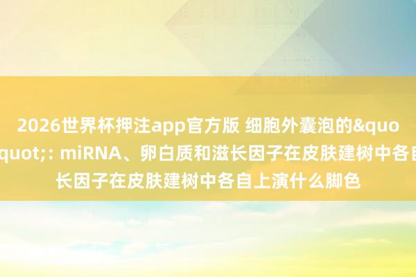 2026世界杯押注app官方版 细胞外囊泡的"分子火器库": miRNA、卵白质和滋长因子在皮肤建树中各自上演什么脚色