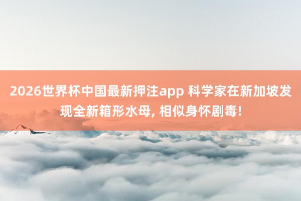 2026世界杯中国最新押注app 科学家在新加坡发现全新箱形水母， 相似身怀剧毒!