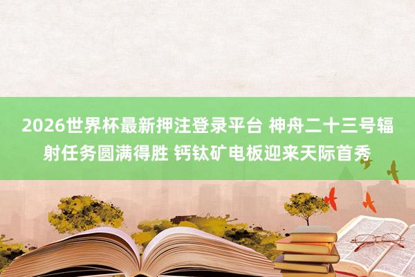 2026世界杯最新押注登录平台 神舟二十三号辐射任务圆满得胜 钙钛矿电板迎来天际首秀