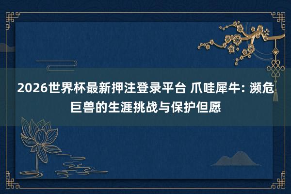 2026世界杯最新押注登录平台 爪哇犀牛: 濒危巨兽的生涯挑战与保护但愿