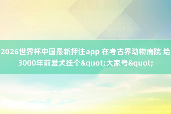 2026世界杯中国最新押注app 在考古界动物病院 给3000年前爱犬挂个"大家号"