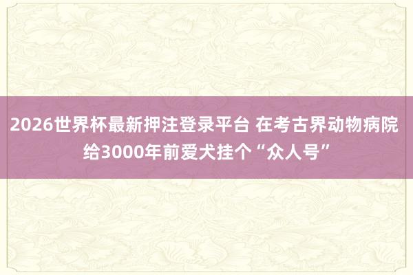 2026世界杯最新押注登录平台 在考古界动物病院 给3000年前爱犬挂个“众人号”