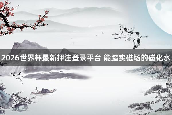 2026世界杯最新押注登录平台 能踏实磁场的磁化水