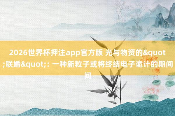 2026世界杯押注app官方版 光与物资的"联婚": 一种新粒子或将终结电子诡计的期间