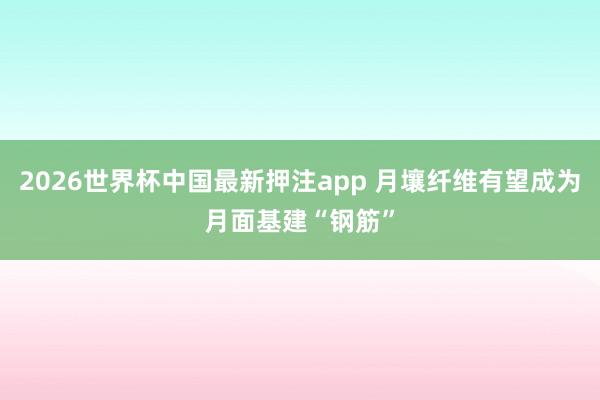 2026世界杯中国最新押注app 月壤纤维有望成为月面基建“钢筋”