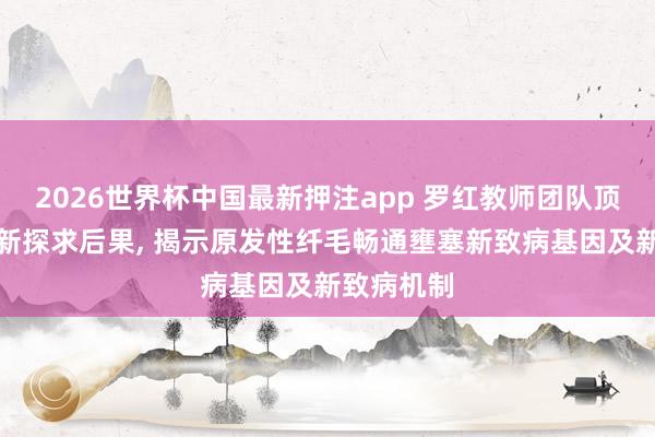 2026世界杯中国最新押注app 罗红教师团队顶刊发表最新探求后果， 揭示原发性纤毛畅通壅塞新致病基因及新致病机制