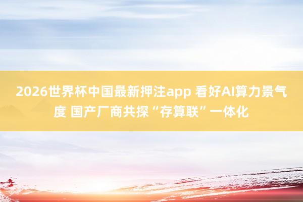 2026世界杯中国最新押注app 看好AI算力景气度 国产厂商共探“存算联”一体化