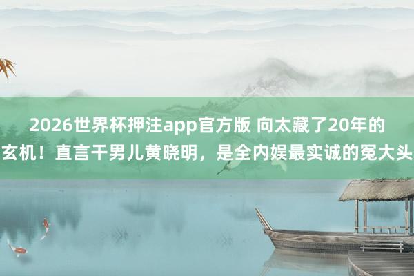 2026世界杯押注app官方版 向太藏了20年的玄机！直言干男儿黄晓明，是全内娱最实诚的冤大头