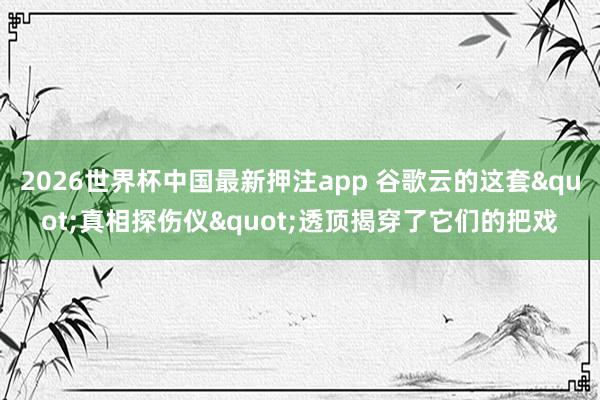 2026世界杯中国最新押注app 谷歌云的这套"真相探伤仪"透顶揭穿了它们的把戏