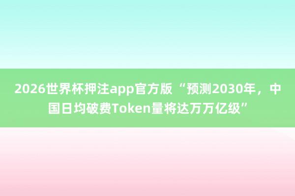 2026世界杯押注app官方版 “预测2030年，中国日均破费Token量将达万万亿级”