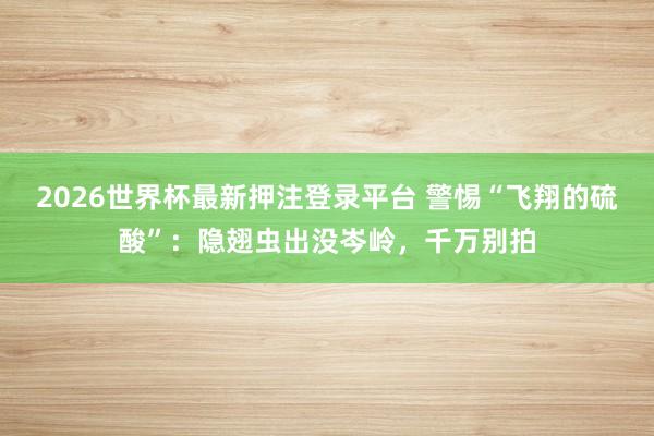 2026世界杯最新押注登录平台 警惕“飞翔的硫酸”：隐翅虫出没岑岭，千万别拍
