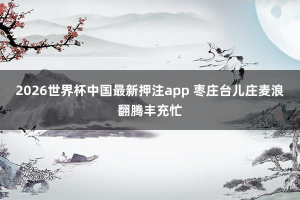 2026世界杯中国最新押注app 枣庄台儿庄麦浪翻腾丰充忙