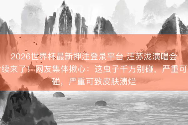 2026世界杯最新押注登录平台 汪苏泷演唱会徒手持虫后续来了！网友集体揪心：这虫子千万别碰，严重可致皮肤溃烂