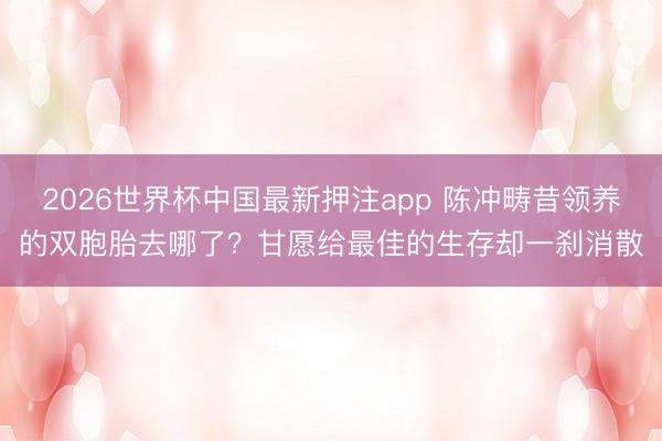 2026世界杯中国最新押注app 陈冲畴昔领养的双胞胎去哪了？甘愿给最佳的生存却一刹消散