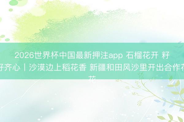 2026世界杯中国最新押注app 石榴花开 籽籽齐心丨沙漠边上稻花香 新疆和田风沙里开出合作花