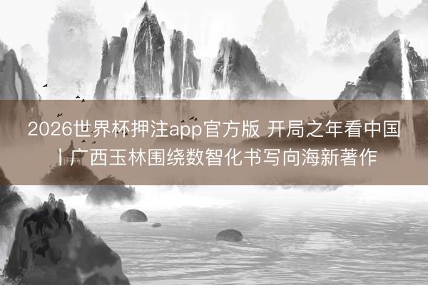 2026世界杯押注app官方版 开局之年看中国丨广西玉林围绕数智化书写向海新著作