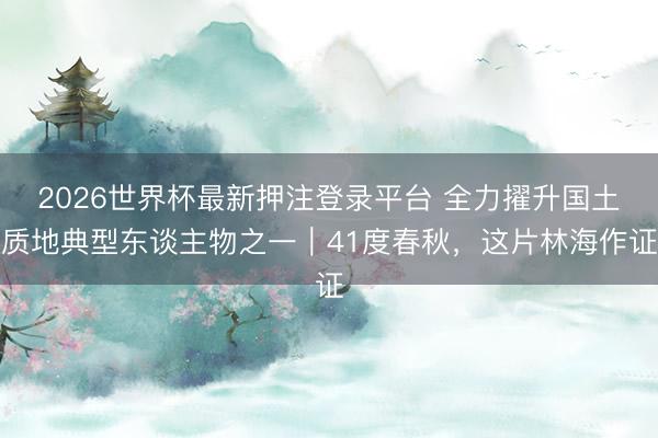 2026世界杯最新押注登录平台 全力擢升国土质地典型东谈主物之一｜41度春秋，这片林海作证