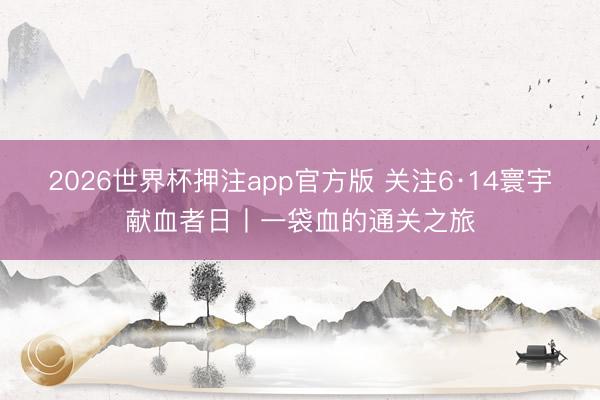 2026世界杯押注app官方版 关注6·14寰宇献血者日丨一袋血的通关之旅