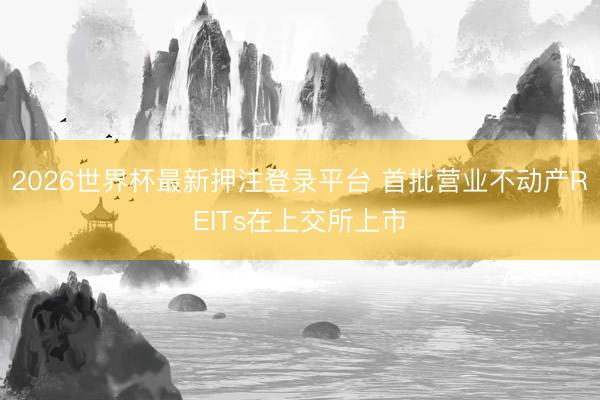 2026世界杯最新押注登录平台 首批营业不动产REITs在上交所上市