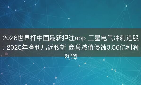 2026世界杯中国最新押注app 三星电气冲刺港股: 2025年净利几近腰斩 商誉减值侵蚀3.56亿利润